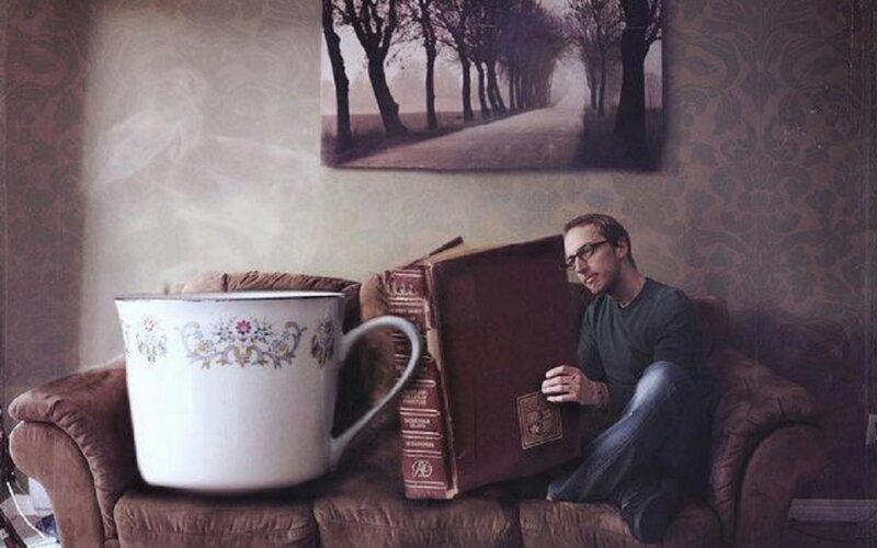 Man Reading on Couch — Brown