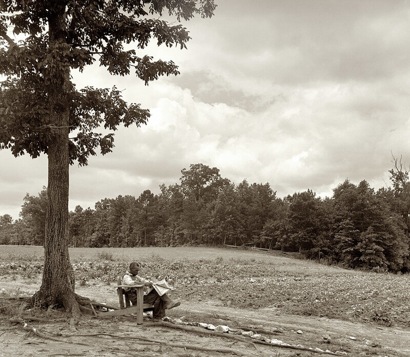 Man reading under a tree
