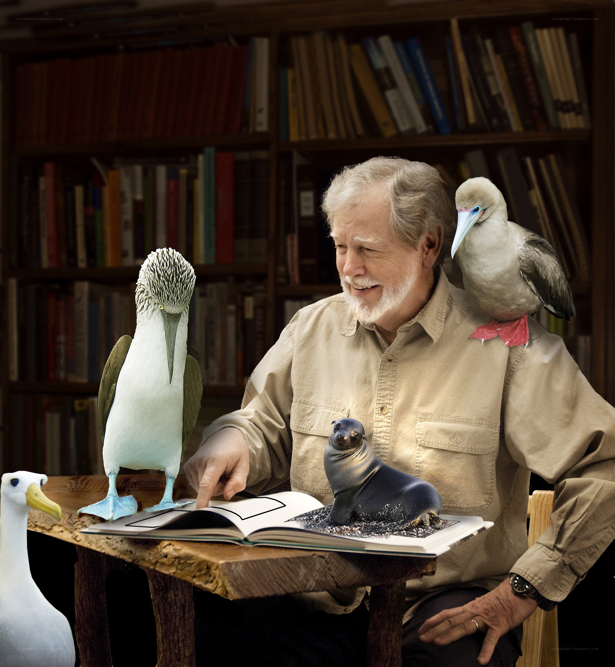 man reading with birds and seal
