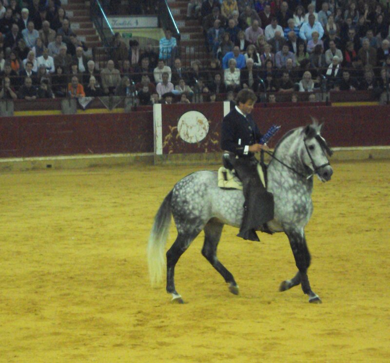 Man Riding a Dapple Horse