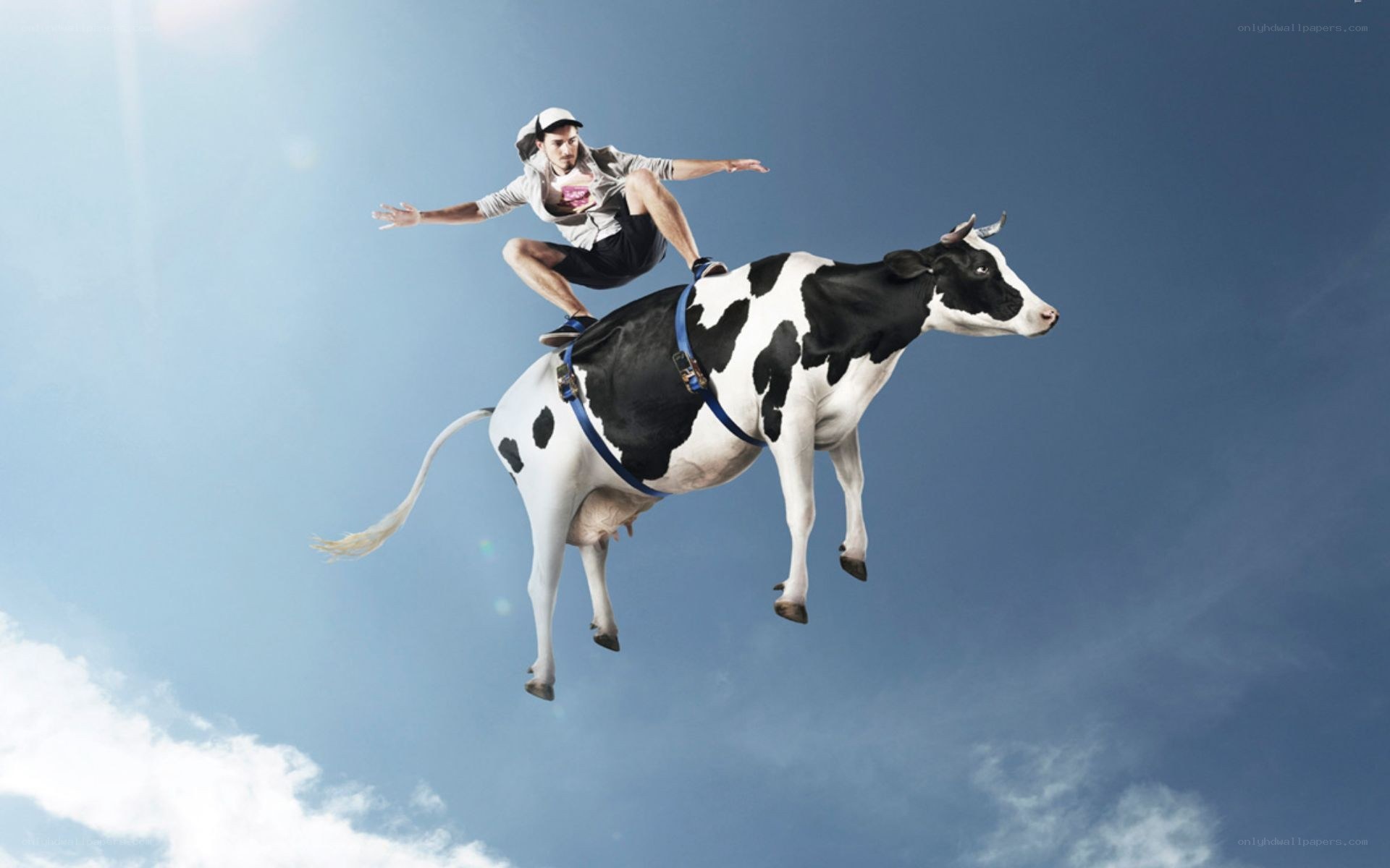 Man riding a flying cow