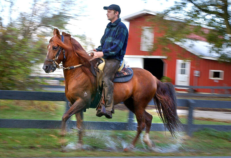 Man Riding a Horse — Brown, Active