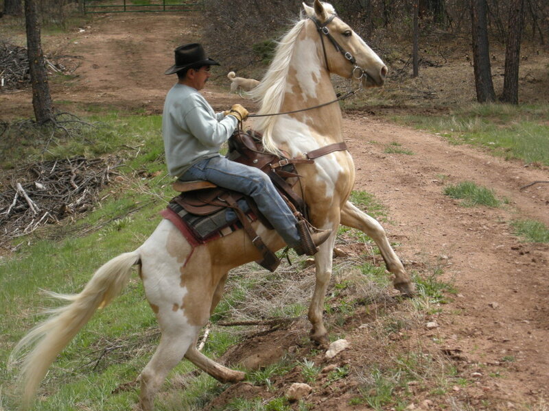 Man Riding a Horse — Brown, Calm, Afternoon