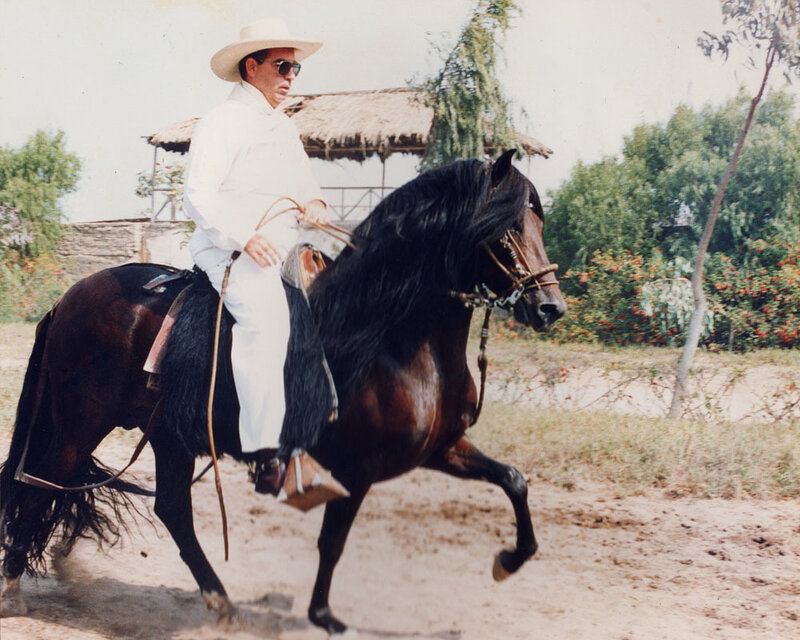Man Riding a Horse — Brown, Calm