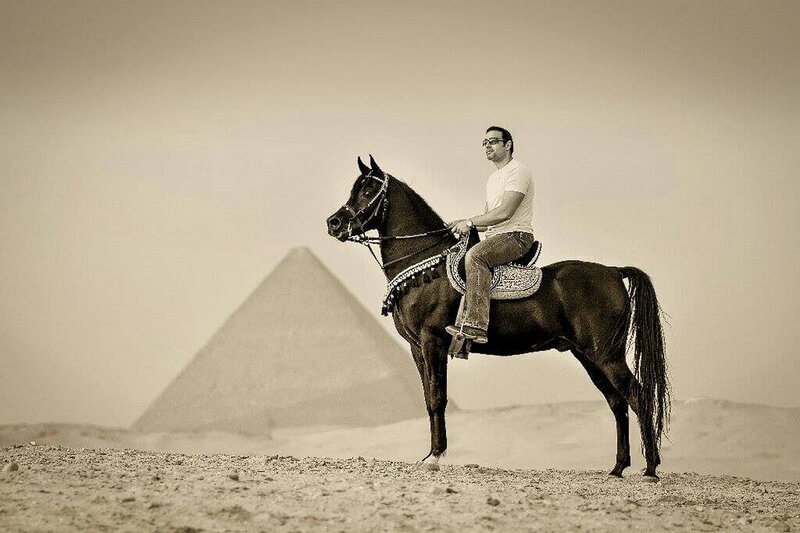 Man Riding a Horse — Brown, Dramatic