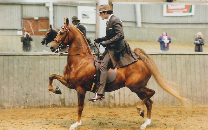 Man Riding a Horse — Brown, Focused