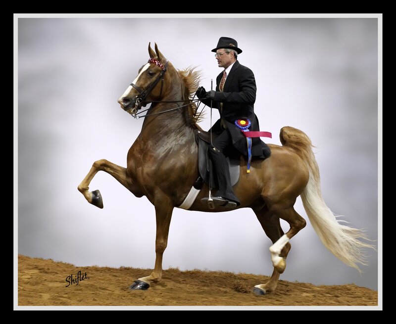 Man Riding a Horse — Brown, Formal