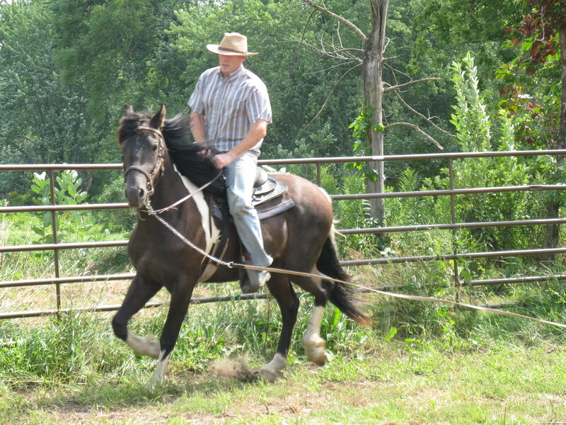 Man Riding a Horse — Brown