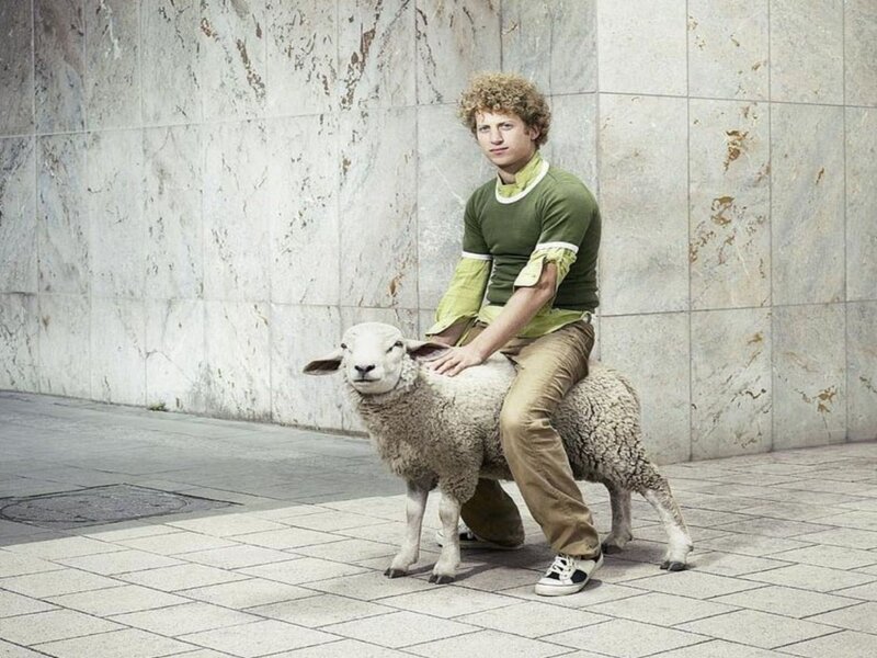Man Riding a Sheep
