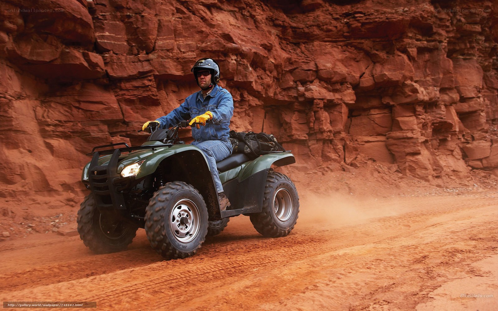 Man riding ATV in canyon