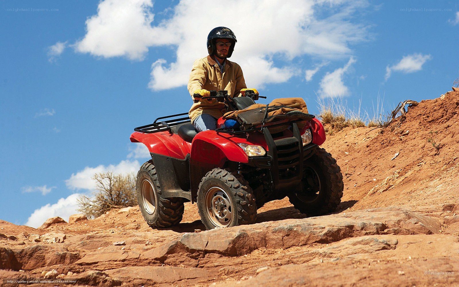 Man riding ATV on rocky terrain