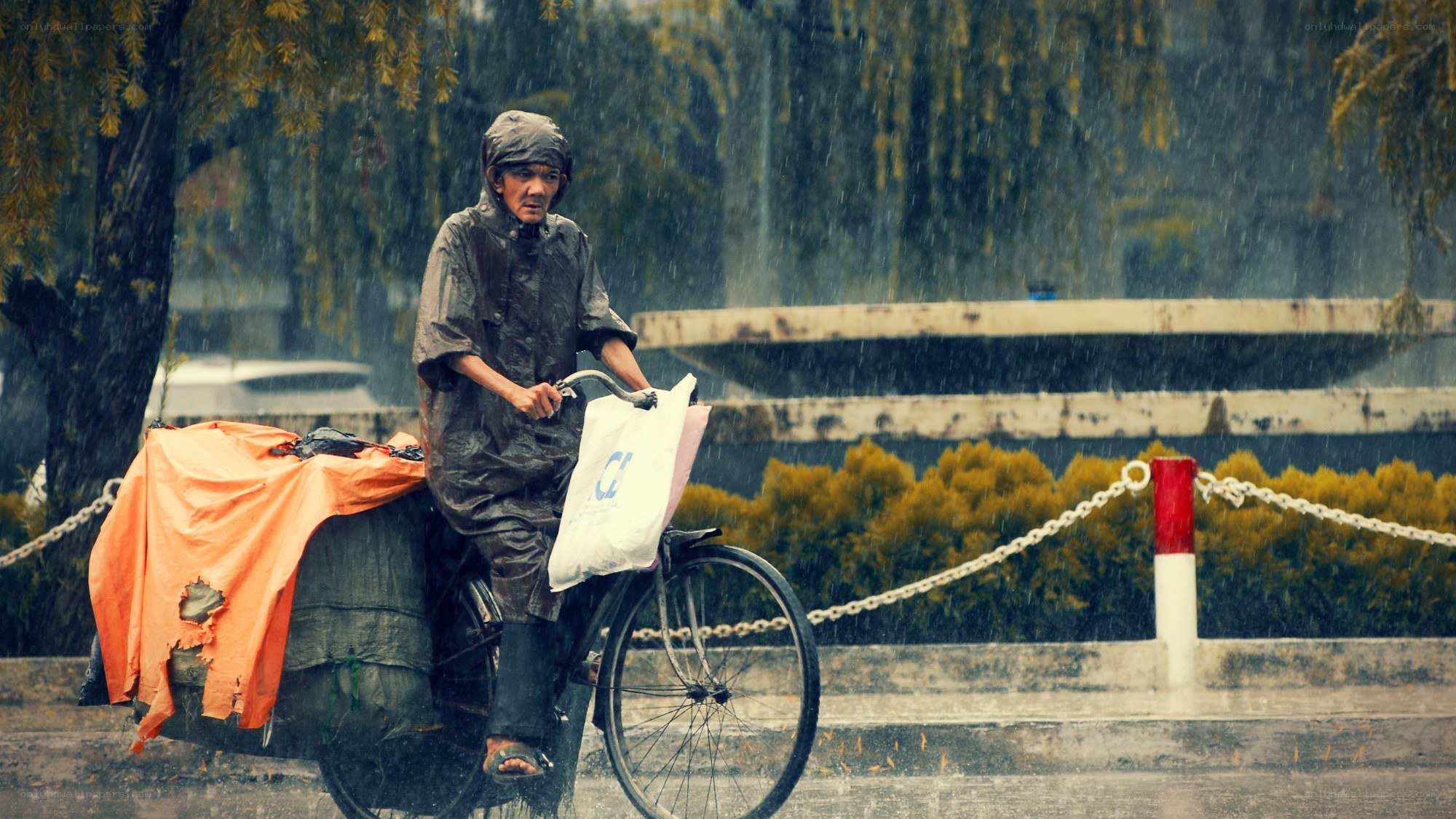 Man riding bike in the rain