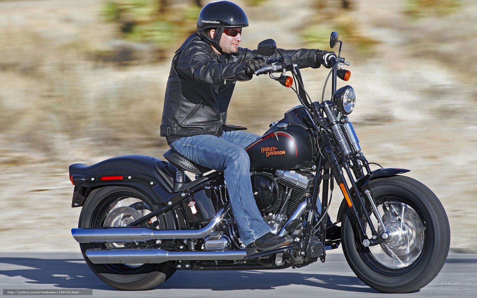 Man riding black Harley-Davidson