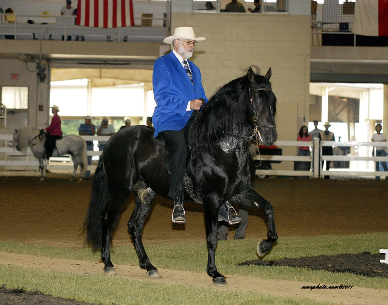 Man Riding Black Horse — Calm, Afternoon