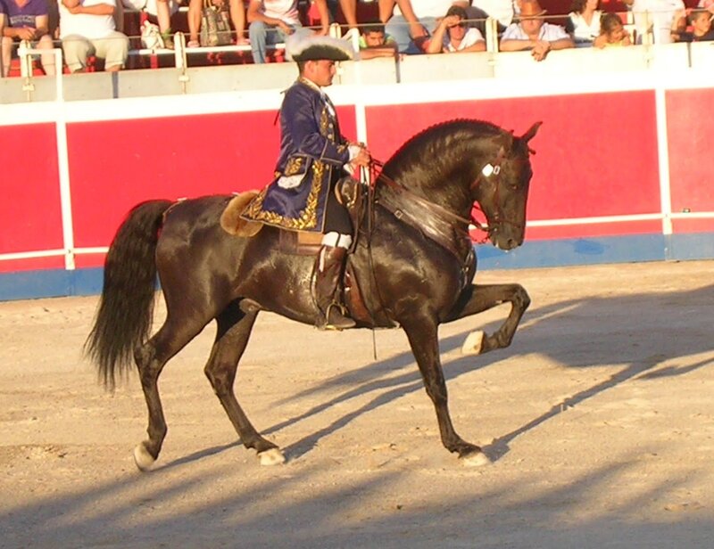 Man Riding Black Horse — Dramatic