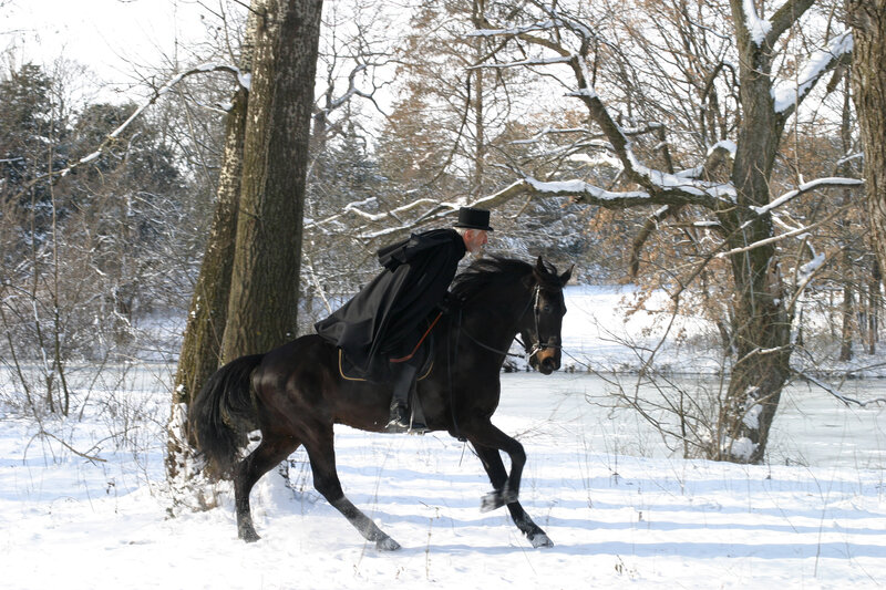 Man Riding Black Horse — Serene