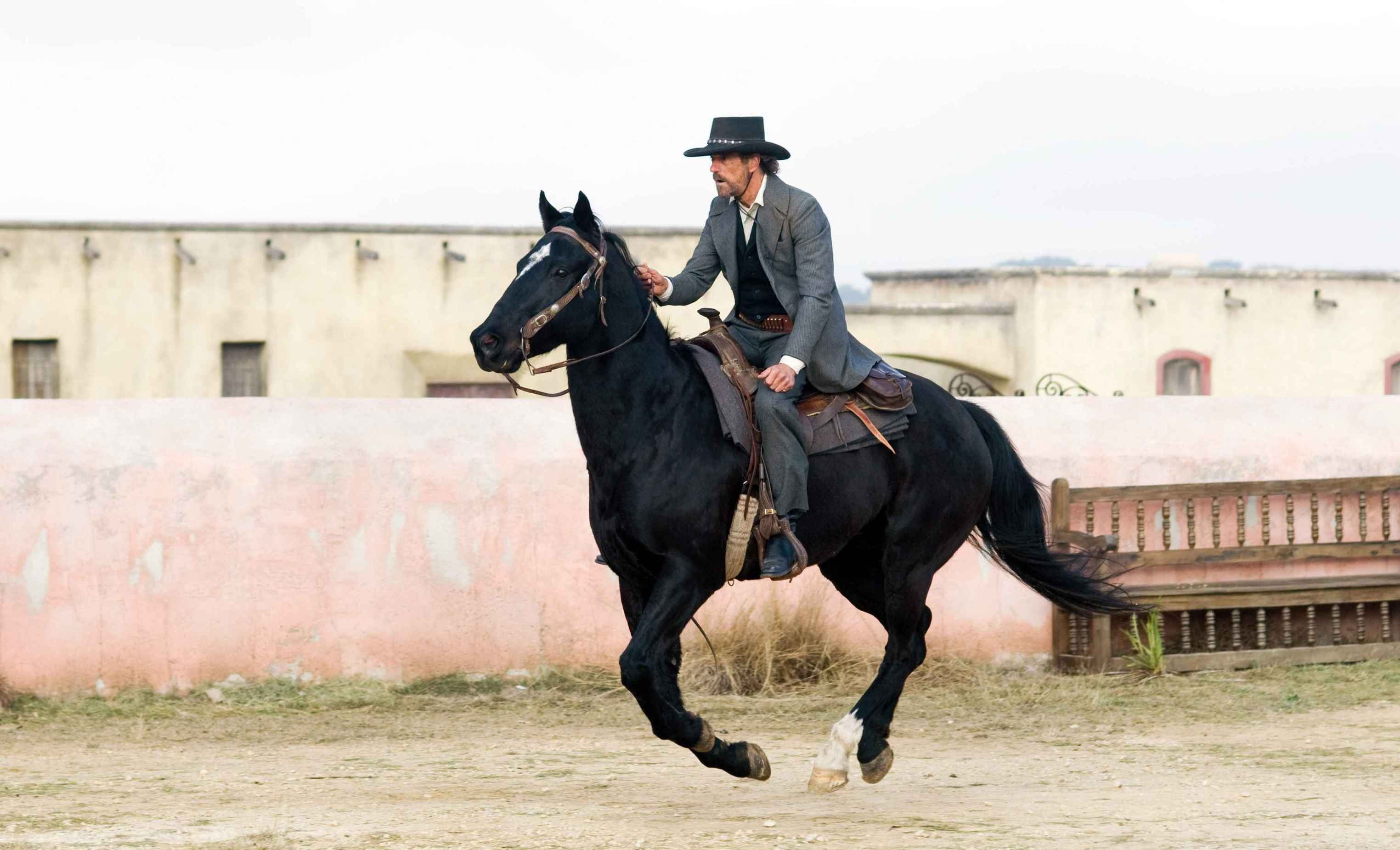 Man riding black horse