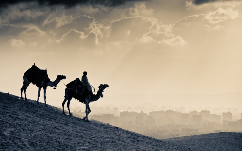 Man Riding Camel — Brown
