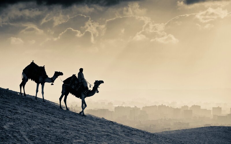 Man Riding Camel — Gray