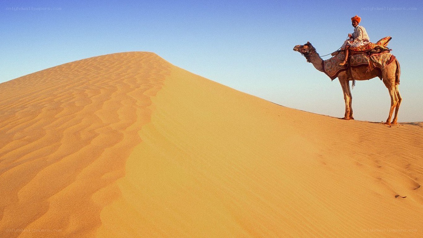 Man riding camel on sand dune