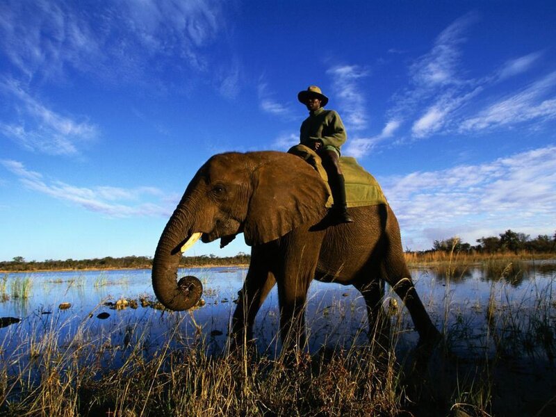 Man Riding Elephant
