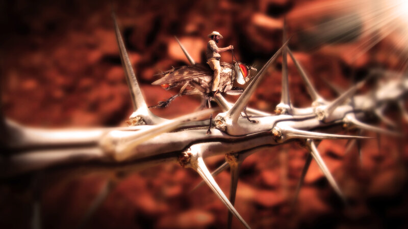Man Riding Fly
