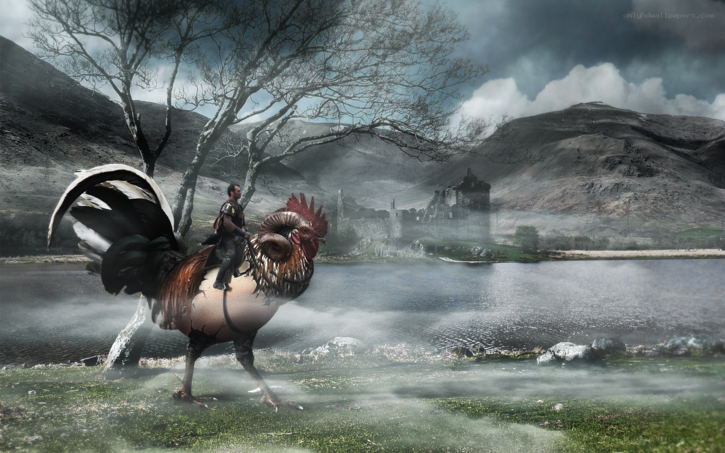man riding giant rooster