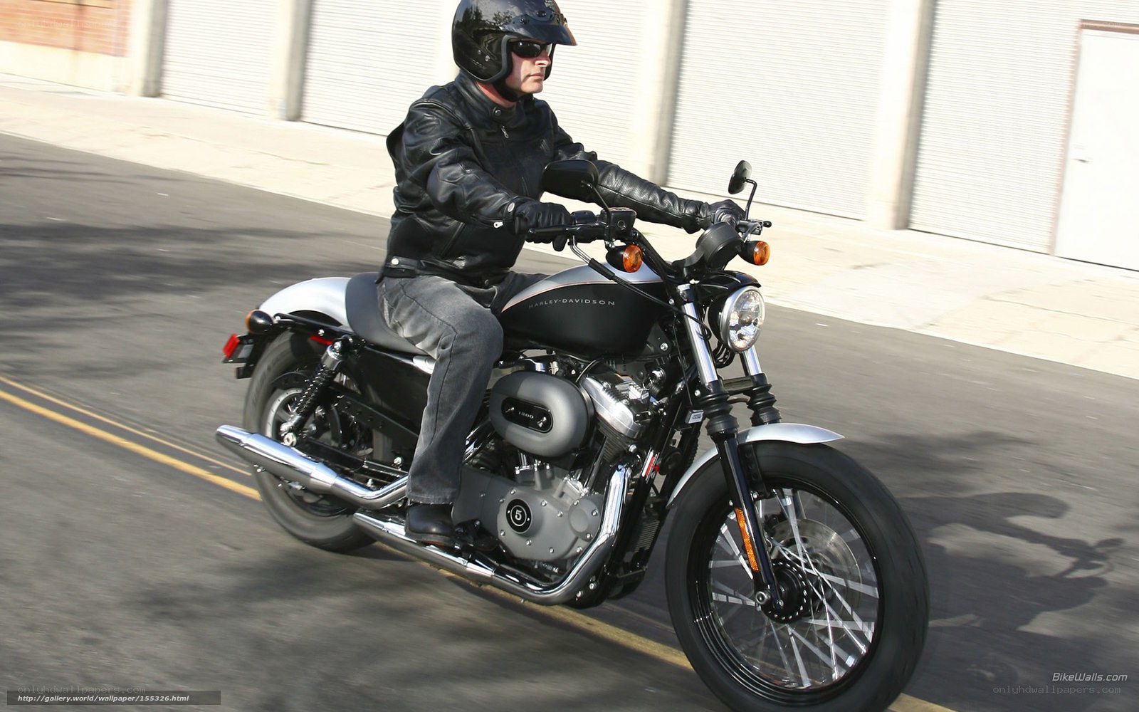 man riding harley-davidson motorcycle