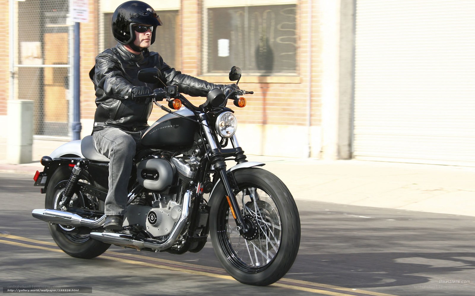 man riding harley-davidson motorcycle