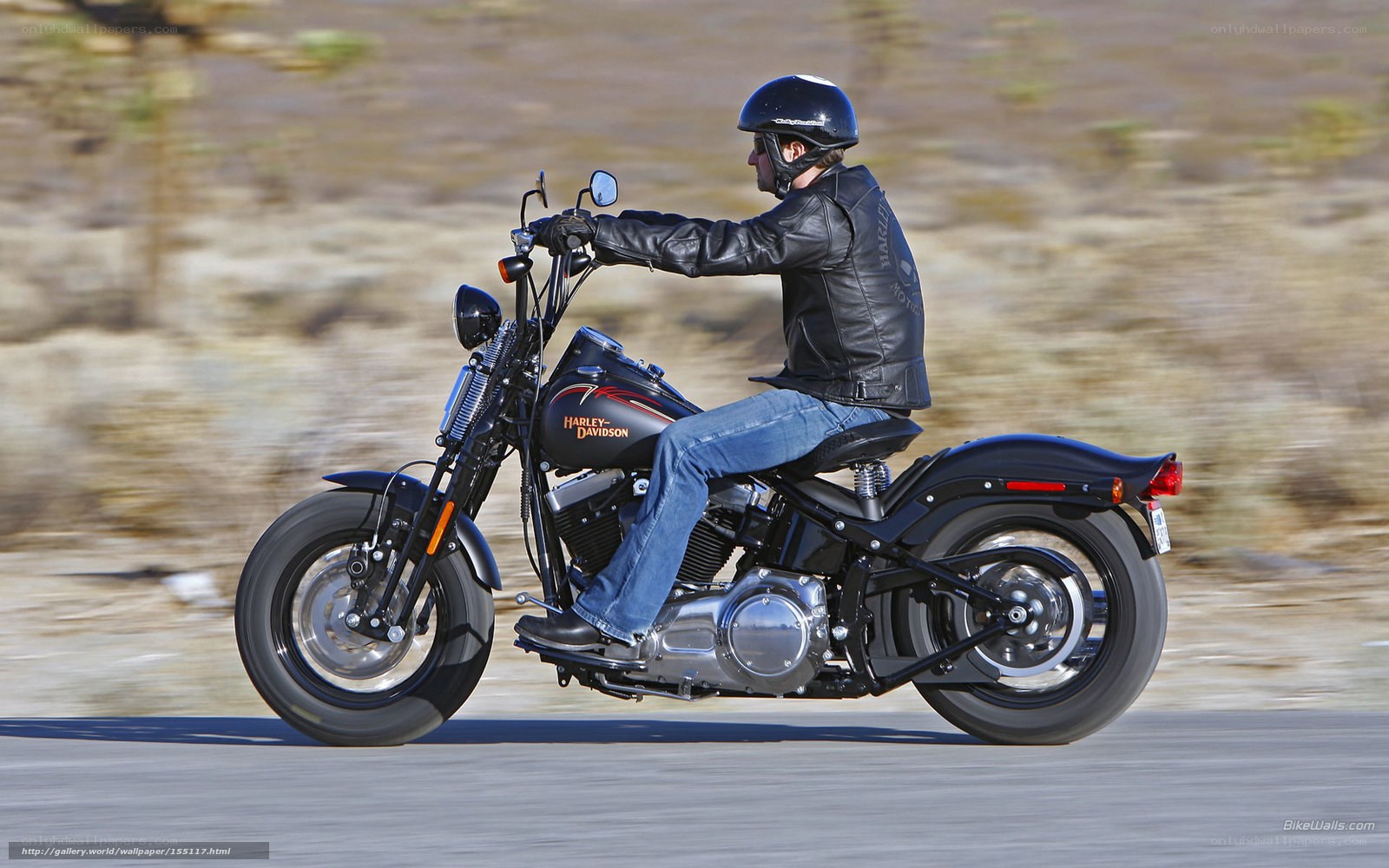 man riding harley-davidson motorcycle