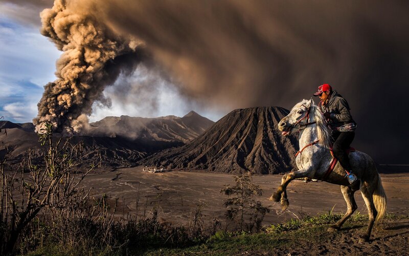 Man Riding Horse — Brown