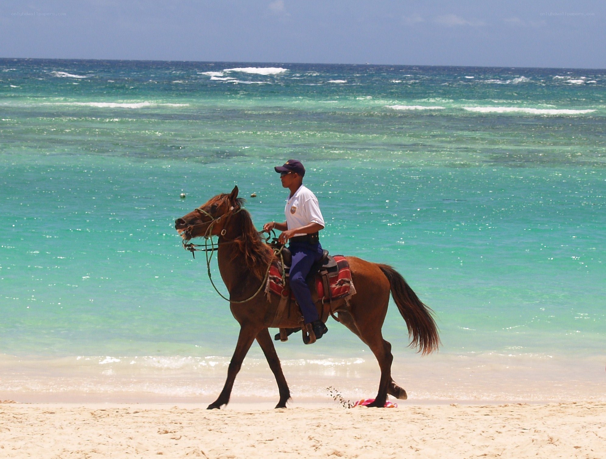 Man riding horse on beach