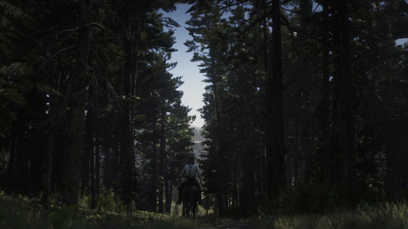 Man Riding Horse Through Forest