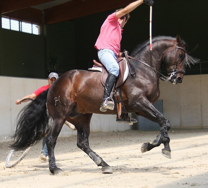 Man Riding Horse