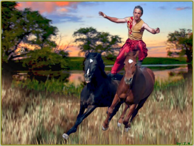 Man Riding Horses — Brown