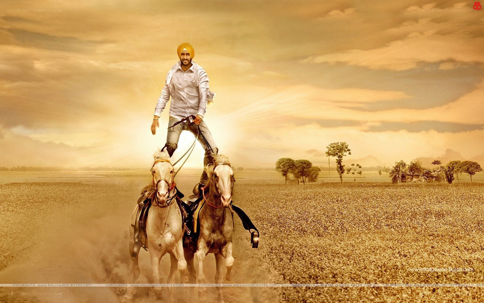 Man riding horses in field