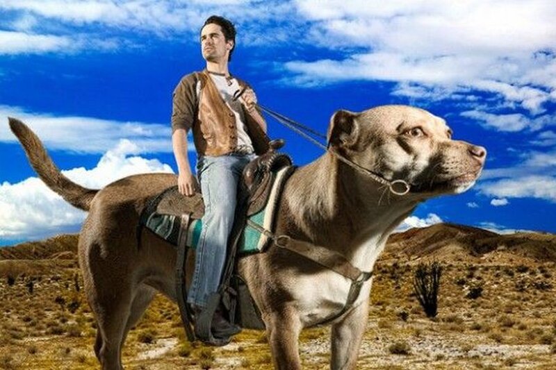 Man Riding Large Dog