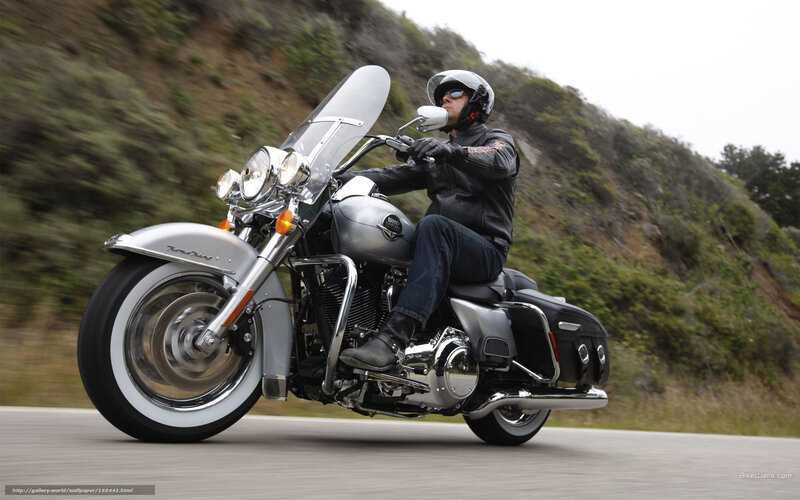 Man Riding Motorcycle — Silver, Dynamic