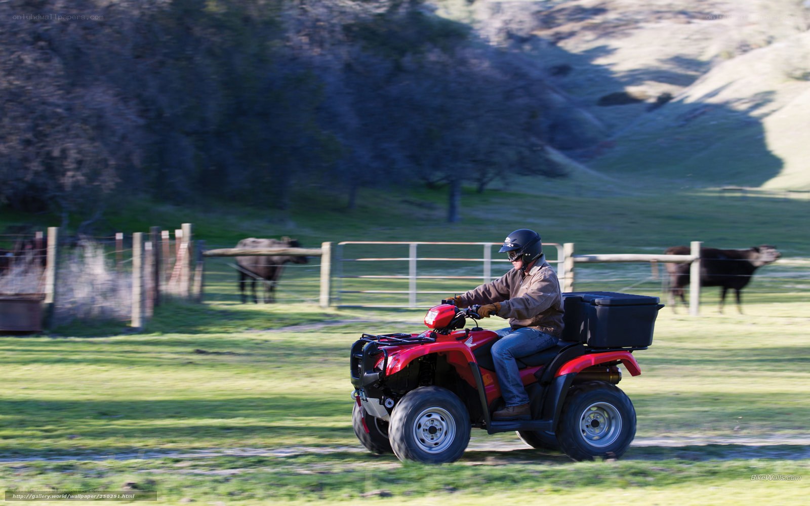 Man riding red ATV in field