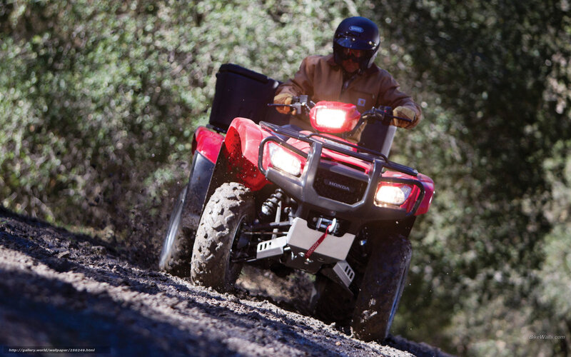 Man riding red ATV on dirt trail