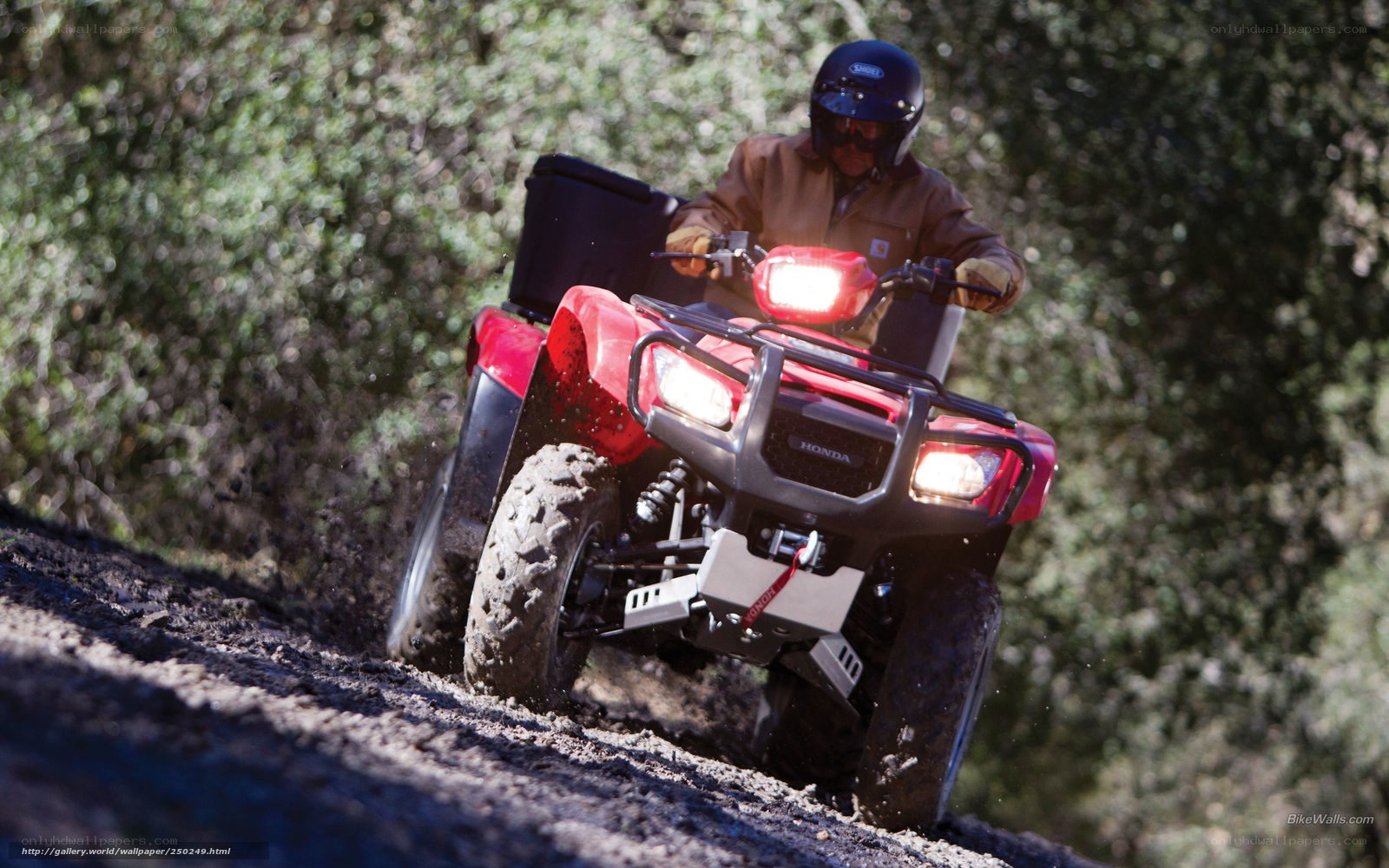 Man riding red ATV on dirt trail