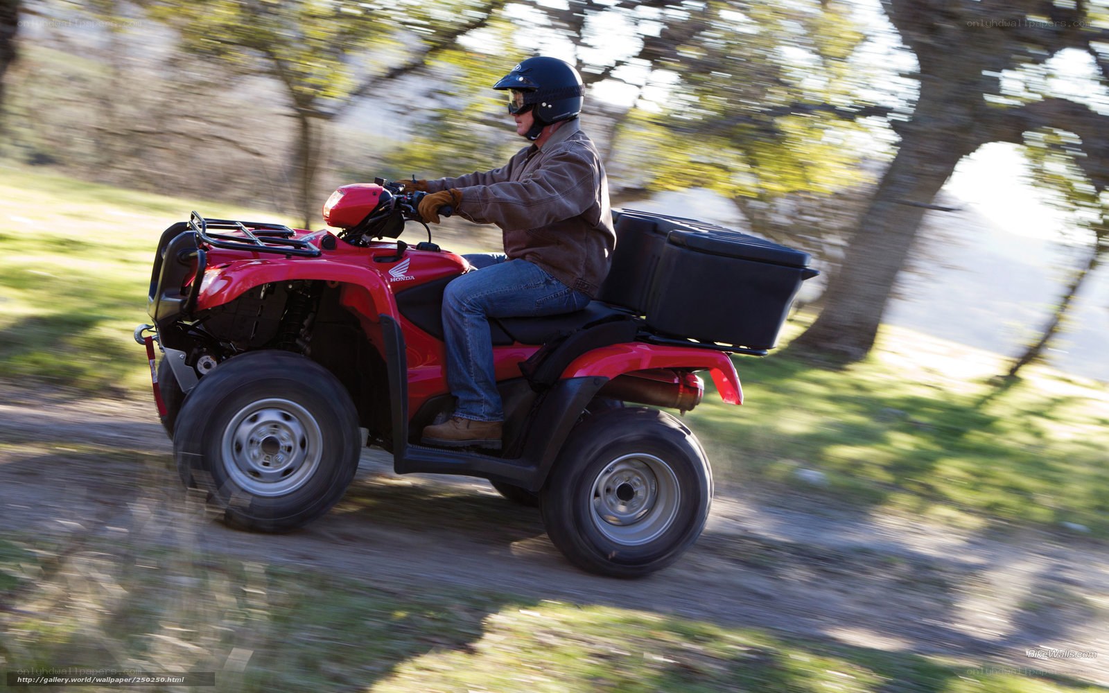Man riding red ATV on trail