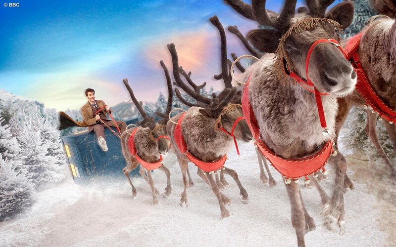Man Riding Reindeer Sleigh
