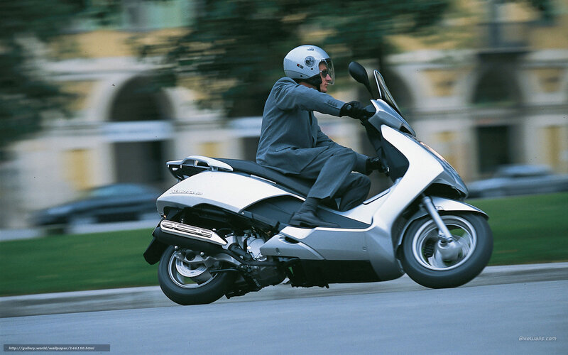Man Riding Scooter — Silver, Dynamic