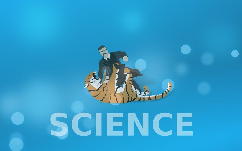 Man Riding Tiger — Blue