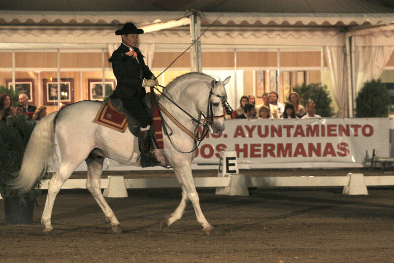 Man riding white horse at event