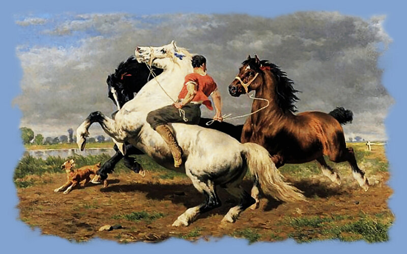 Man Riding White Horse — Brown