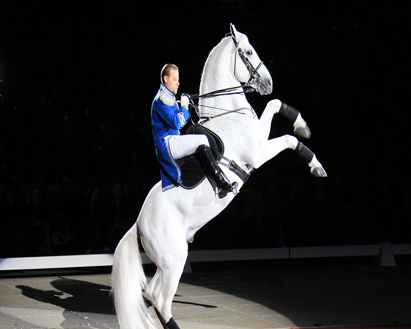 Man Riding White Horse — Dramatic, Night