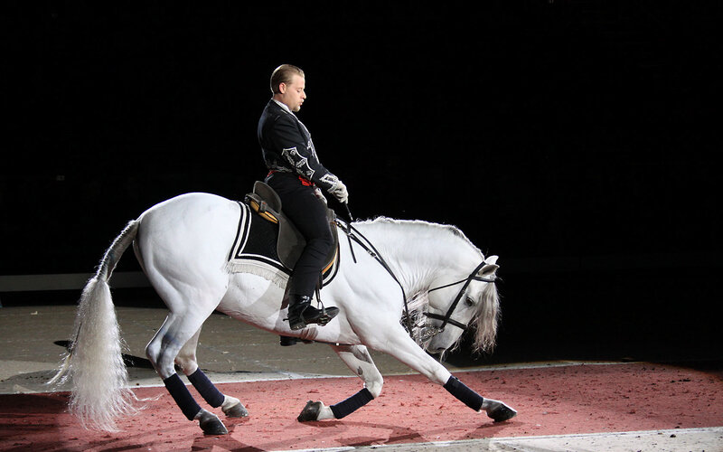 Man Riding White Horse — Dramatic, Photograph