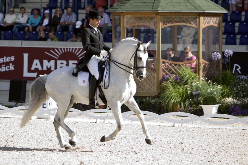 Man Riding White Horse — Focused, Afternoon, Photograph, Audience